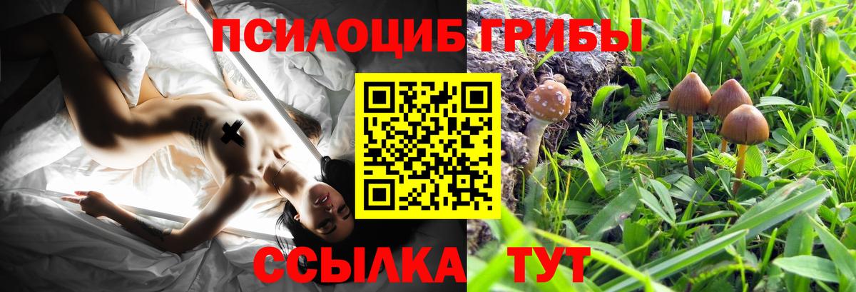 Псилоцибиновые грибы MAGIC MUSHROOMS Каменка