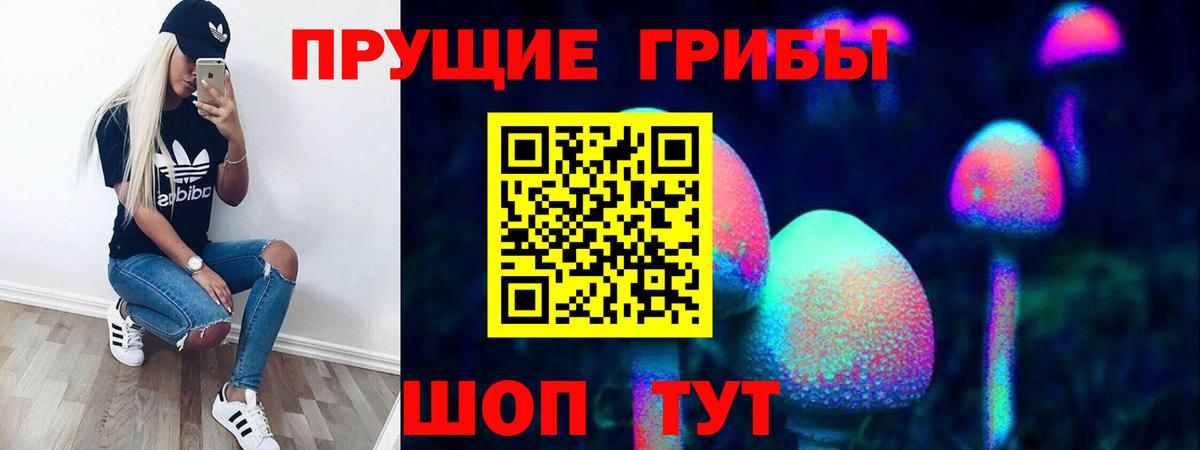 Галлюциногенные грибы Magic Shrooms  Вход с VPN  Псилоцибиновые грибы Psilocybe  Каменка 